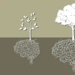 Illustration of three trees growing from brain-shaped roots, representing the stages of brain development across the lifespan