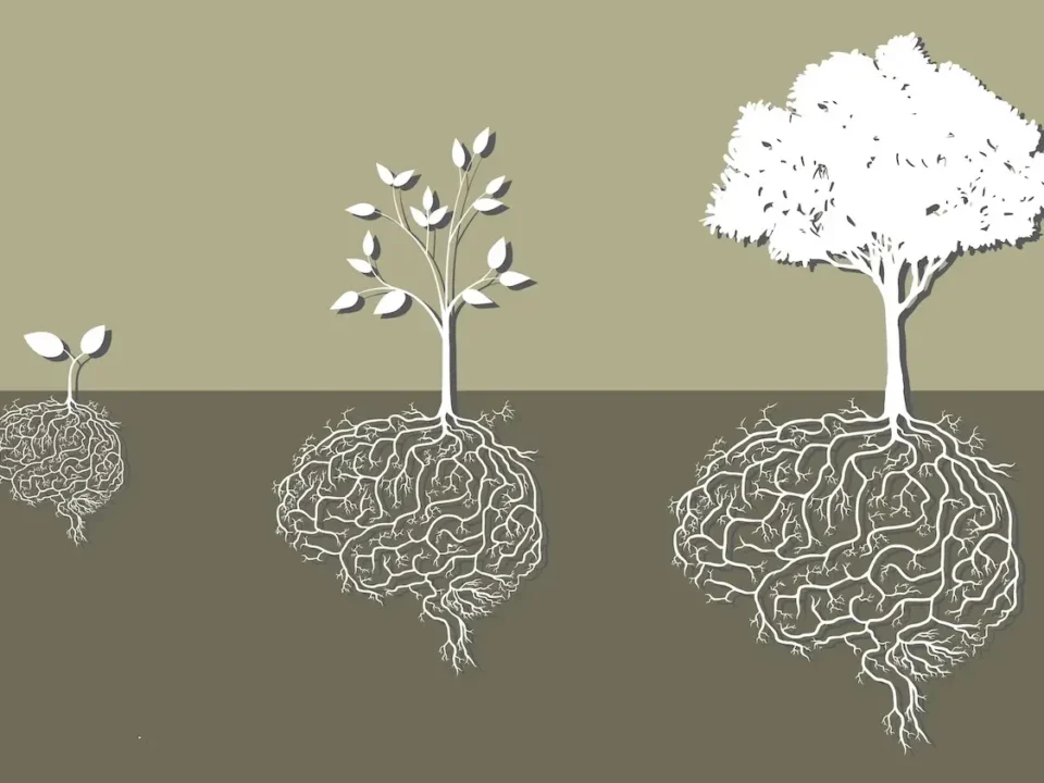 Illustration of three trees growing from brain-shaped roots, representing the stages of brain development across the lifespan