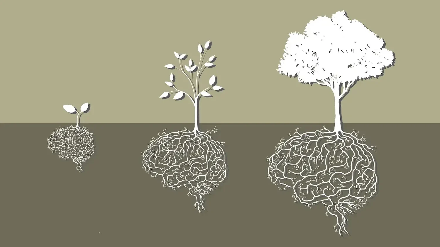 Illustration of three trees growing from brain-shaped roots, representing the stages of brain development across the lifespan
